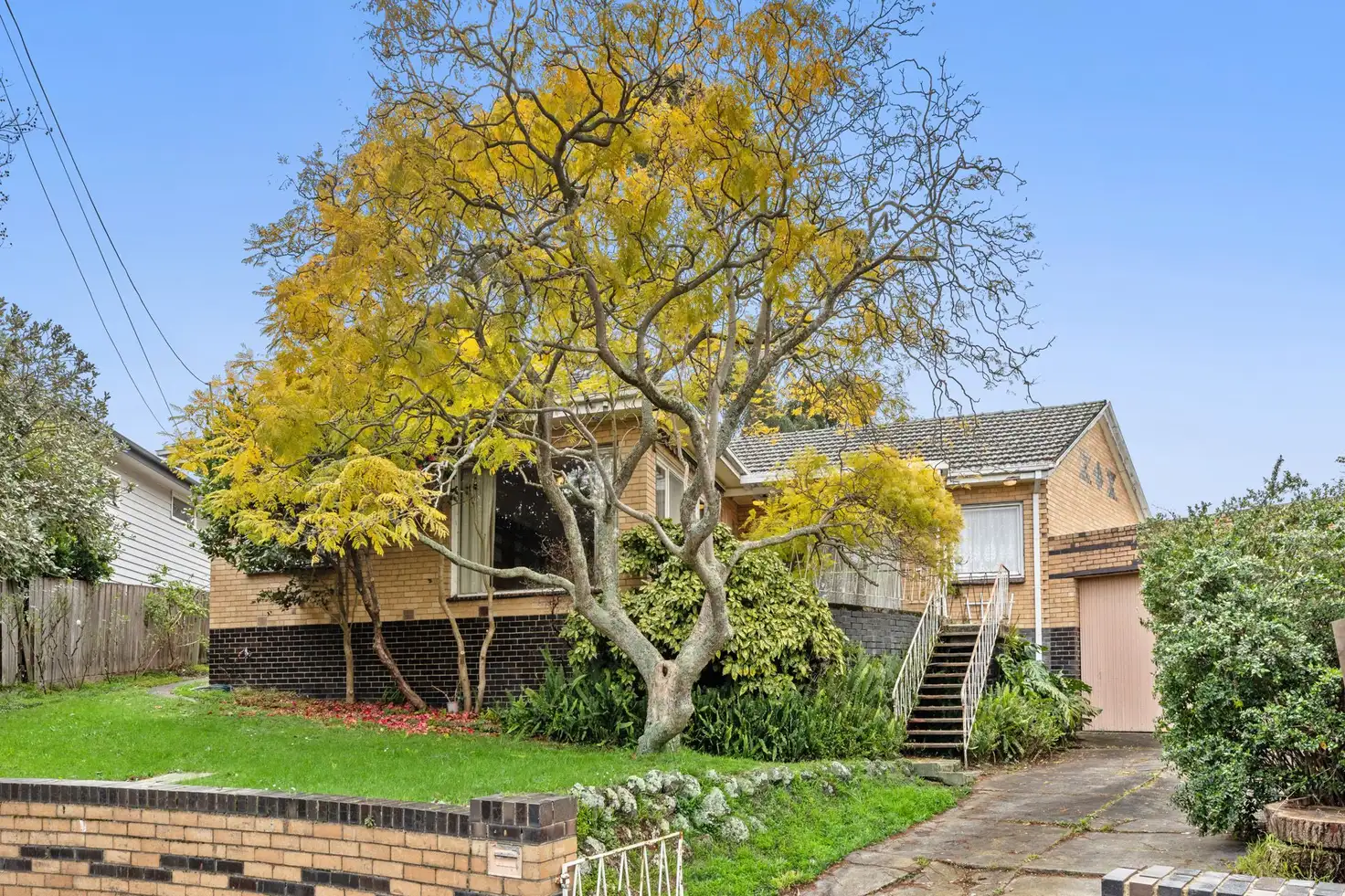 Main view of Homely house listing, 5 Norman Court, Box Hill South VIC 3128