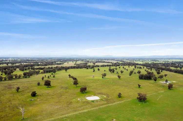 Seventh view of Homely rural property listing, Address available on request