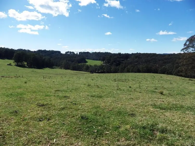 Third view of Homely rural property listing, 302 Cedar Log Road, Dorrigo NSW 2453