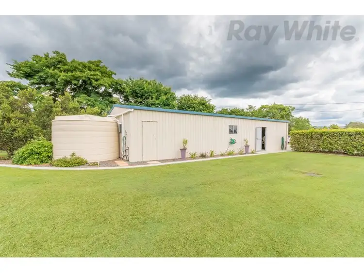 Seventh view of Homely house listing, 19 Felchow Court, Wamuran QLD 4512