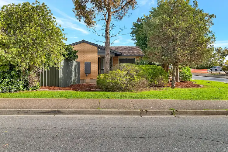 Main view of Homely house listing, 55 Cassia Street, Surrey Downs SA 5126