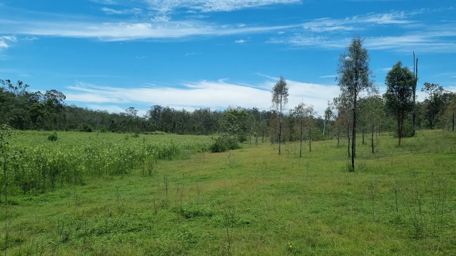 Main view of Homely rural property listing, 41 Anderson Lane, Buaraba QLD 4311