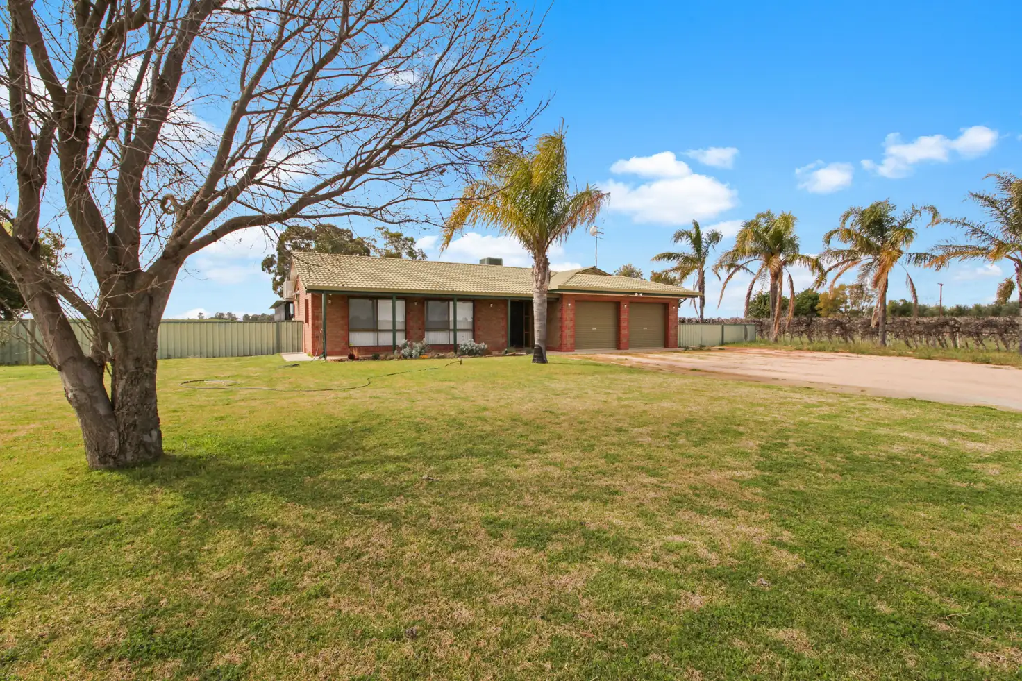 Main view of Homely house listing, 169 Twentyseventh Street, Renmark SA 5341
