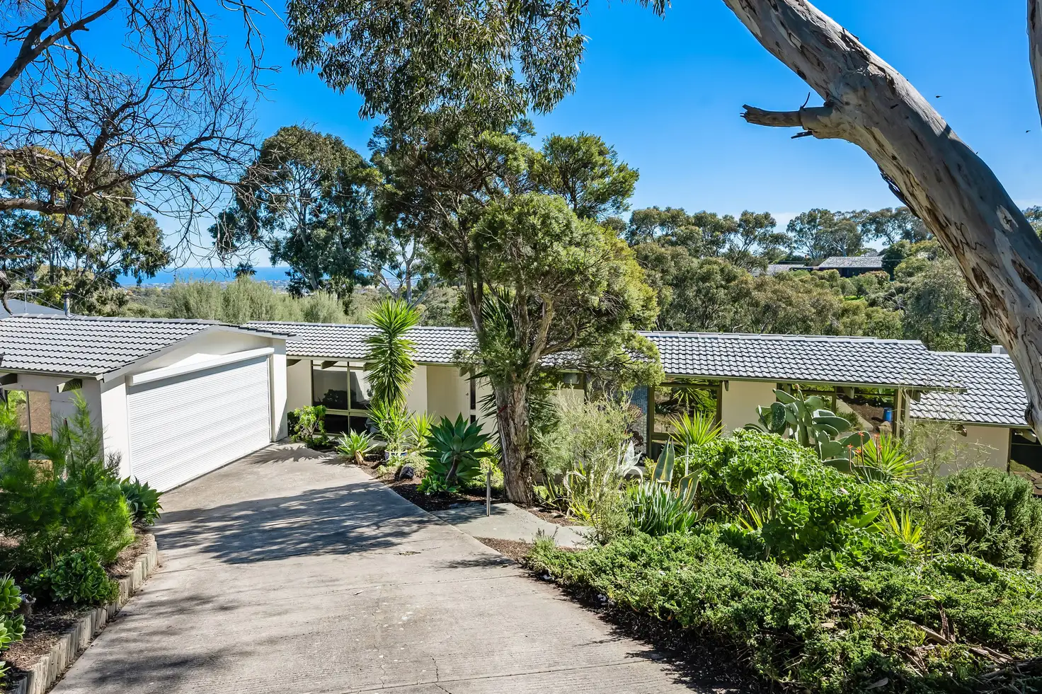 Main view of Homely house listing, 6 University Way, Bellevue Heights SA 5050