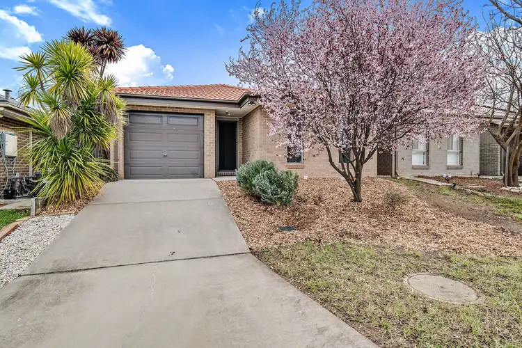 21 John James Loop, Macgregor ACT 2615