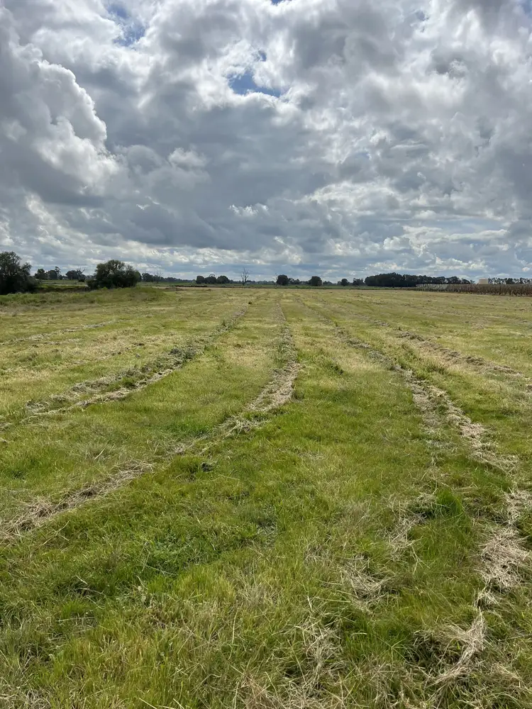 Fourth view of Homely rural property listing, 620 Sandmount Road, Katunga VIC 3640