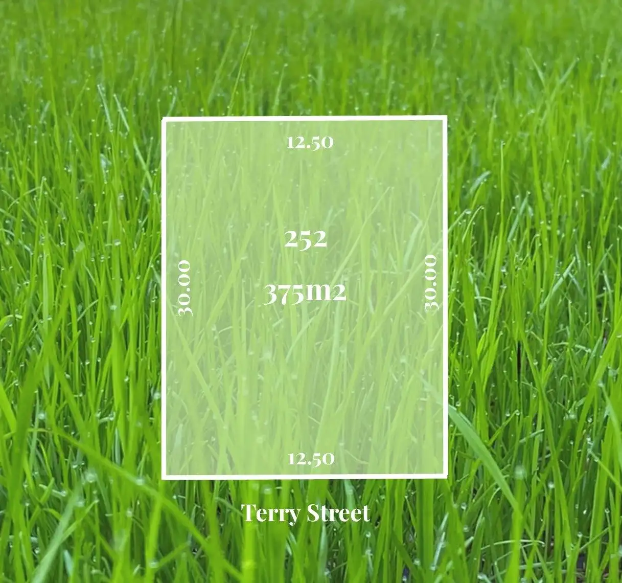 Main view of Homely land listing, 14 Terry Street, Blakeview SA 5114