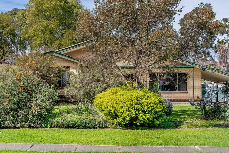 53 Cronulla Drive, Redwood Park SA 5097