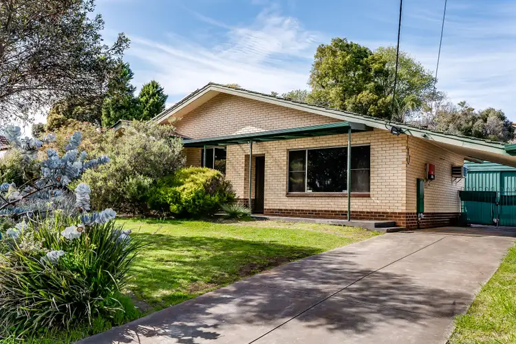 Second view of Homely house listing, 53 Cronulla Drive, Redwood Park SA 5097