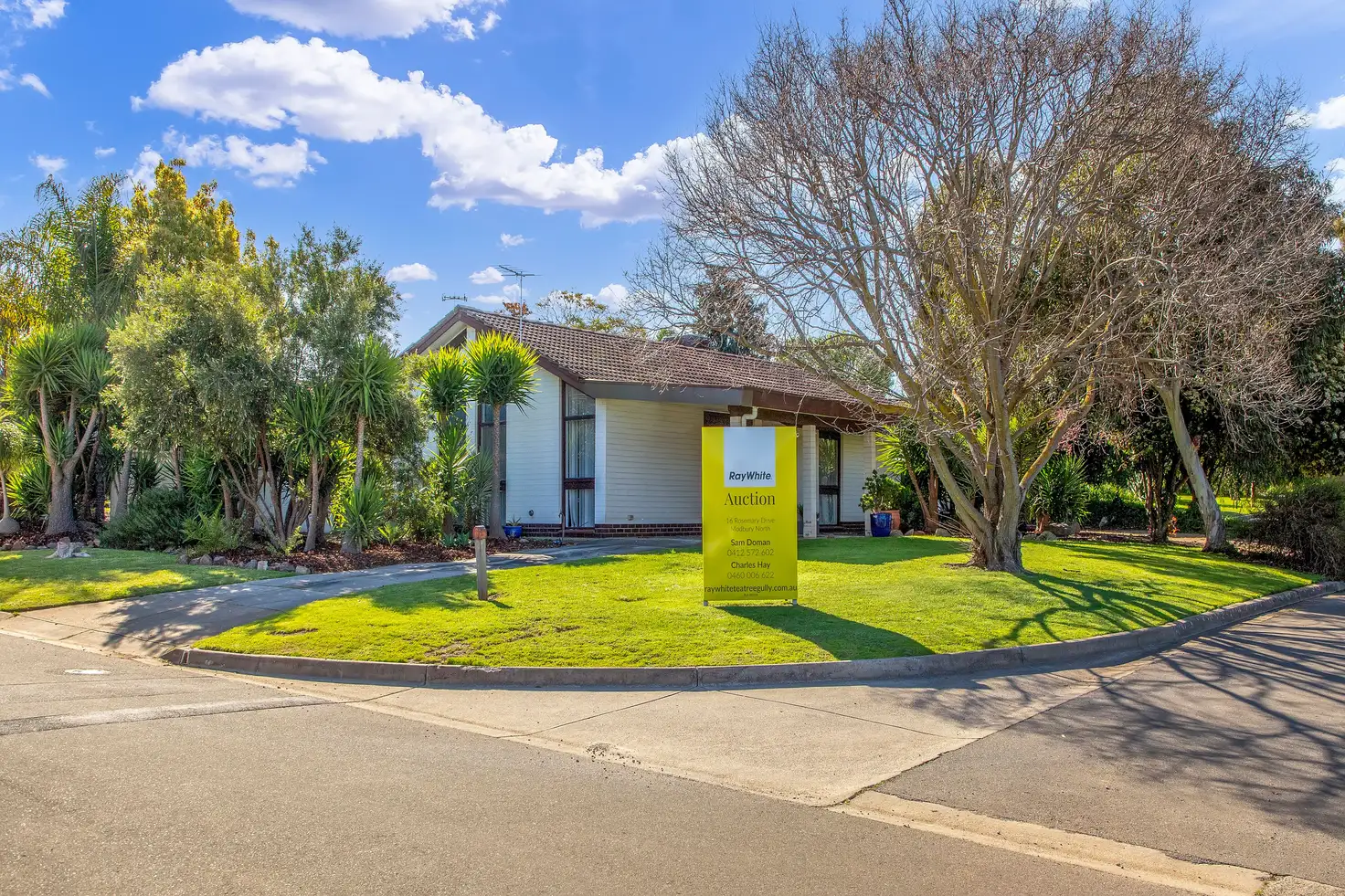 Main view of Homely house listing, 16 Rosemary Drive, Modbury North SA 5092