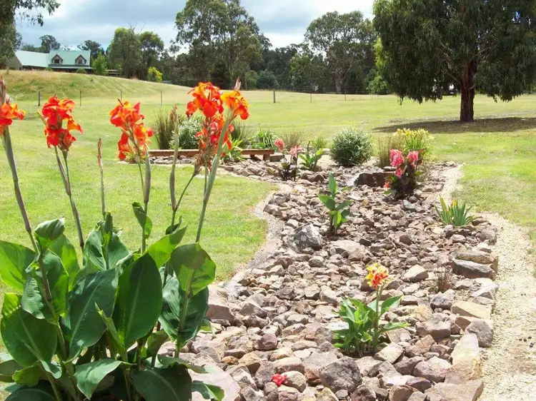 Sixth view of Homely house listing, 101 Bromfield Drive, Tolmie VIC 3723