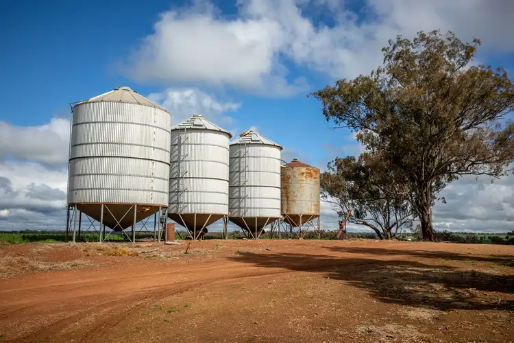 Seventh view of Homely rural property listing, 120 Clear Hills Road, Junee Reefs NSW 2666