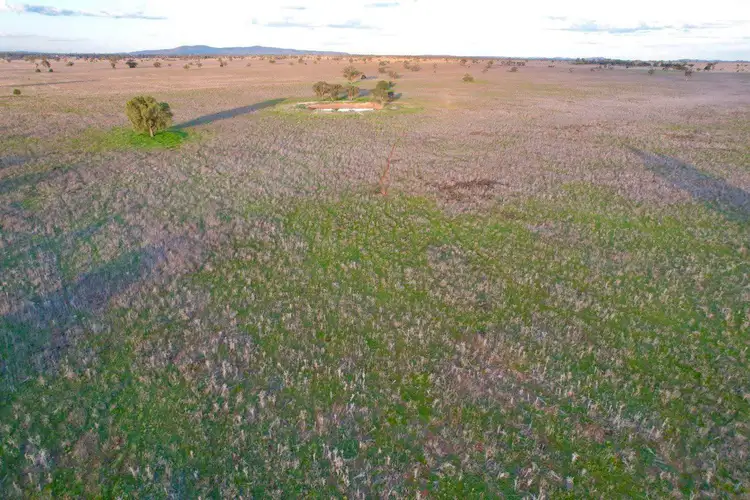 Third view of Homely rural property listing, 'Avalon' 2134 Vermont Hill Road, Condobolin NSW 2877