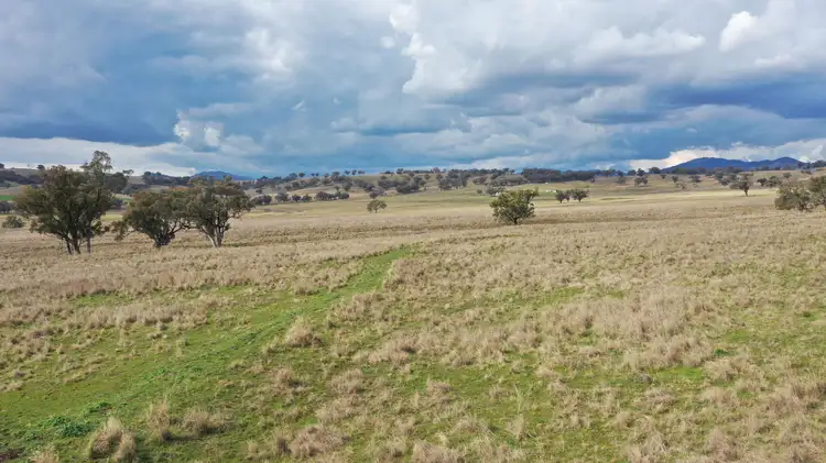 Main view of Homely rural property listing, 877 Swinging Ridges Road, Willow Tree NSW 2339