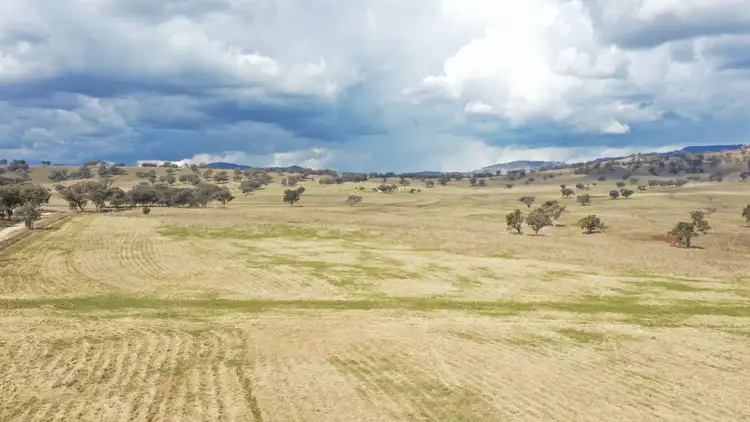 Second view of Homely rural property listing, 877 Swinging Ridges Road, Willow Tree NSW 2339