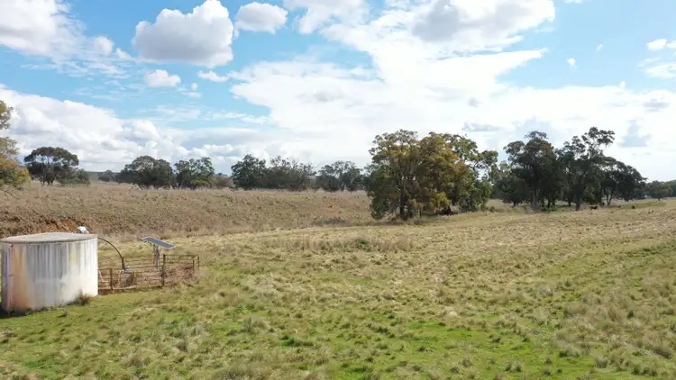 Fourth view of Homely rural property listing, 877 Swinging Ridges Road, Willow Tree NSW 2339