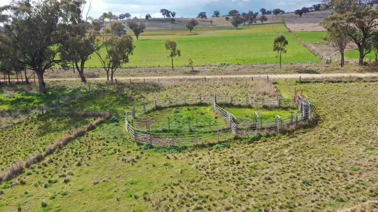 Fifth view of Homely rural property listing, 877 Swinging Ridges Road, Willow Tree NSW 2339