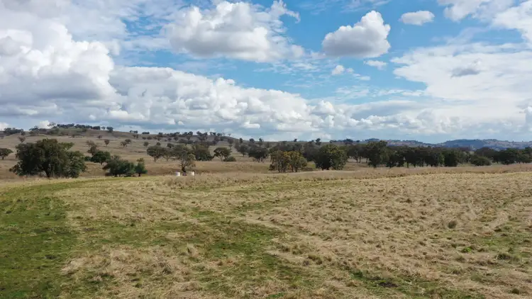 Seventh view of Homely rural property listing, 877 Swinging Ridges Road, Willow Tree NSW 2339