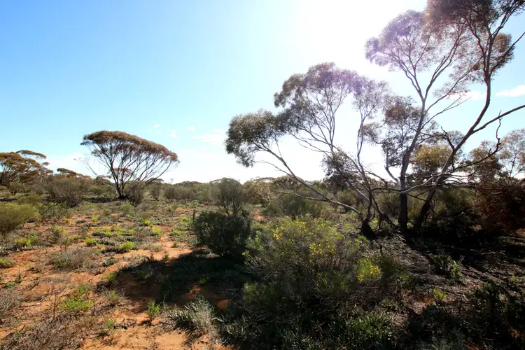 Fifth view of Homely land listing, Sec 959 Warnecke Road, Monash SA 5342