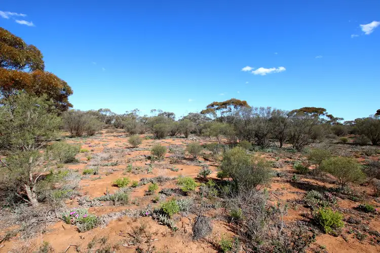 Sixth view of Homely land listing, Sec 959 Warnecke Road, Monash SA 5342