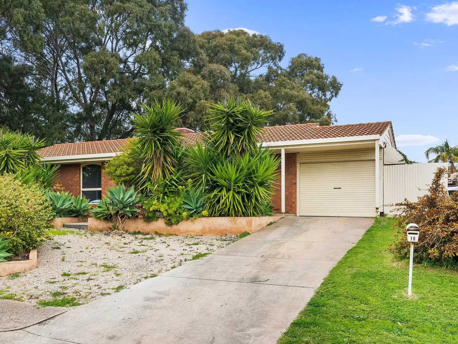 Main view of Homely house listing, 16 Gertrude Street, Morphett Vale SA 5162