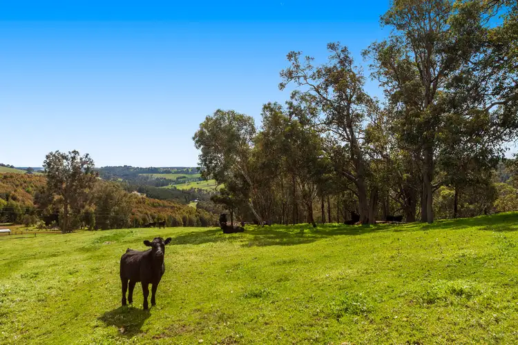 Fifth view of Homely house listing, 702 Tweed Road, Bridgetown WA 6255