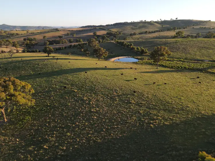 Fourth view of Homely rural property listing, 70 Callans Lane, Vittoria NSW 2799