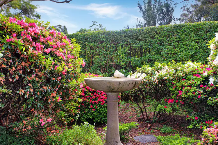 Second view of Homely house listing, 24 Morang Street, Hawks Nest NSW 2324