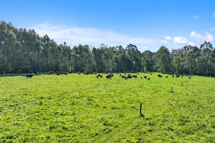 Second view of Homely rural property listing, 840 Invermay Road East, Drouin South VIC 3818