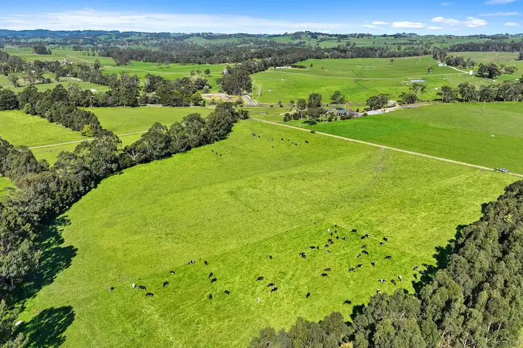 Fourth view of Homely rural property listing, 840 Invermay Road East, Drouin South VIC 3818
