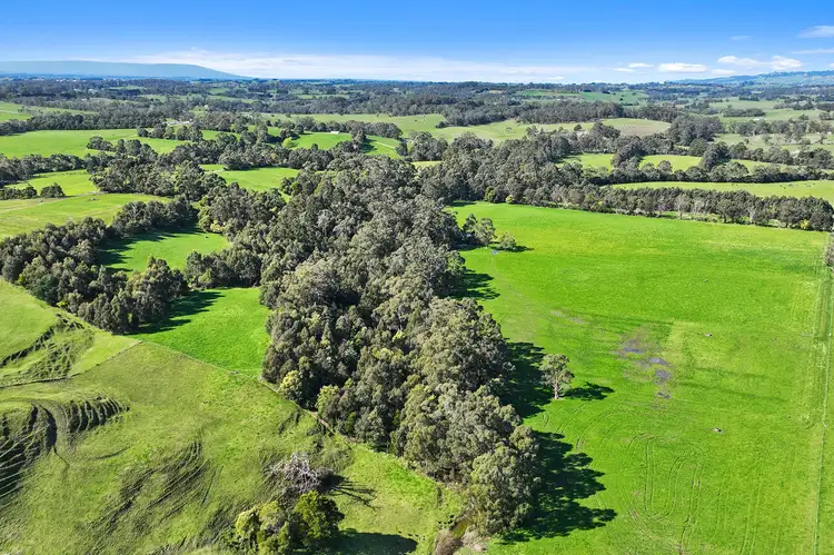 Sixth view of Homely rural property listing, 840 Invermay Road East, Drouin South VIC 3818