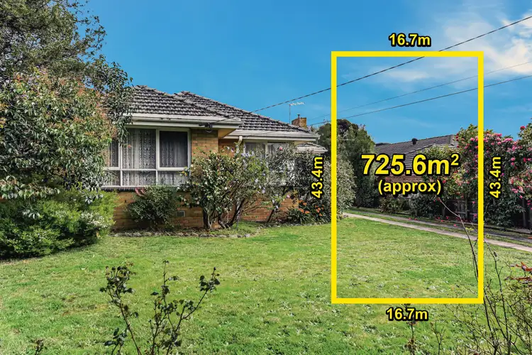 11 Pamela Street, Mount Waverley VIC 3149
