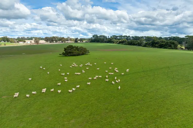 Fourth view of Homely rural property listing, 20-22 Evergreen Lane, Orange NSW 2800