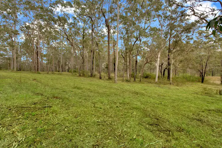 Third view of Homely rural property listing, 597 Temagog Road, Temagog NSW 2440