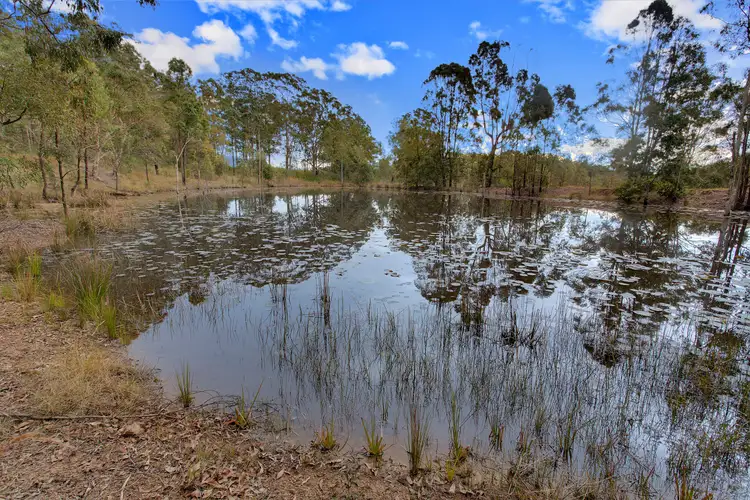 Fourth view of Homely rural property listing, 597 Temagog Road, Temagog NSW 2440