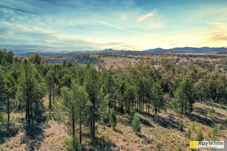Fifth view of Homely rural property listing, 3 Grandview Place, Quirindi NSW 2343