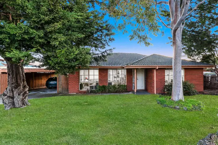 19 Shiraz Crescent, Narre Warren VIC 3805
