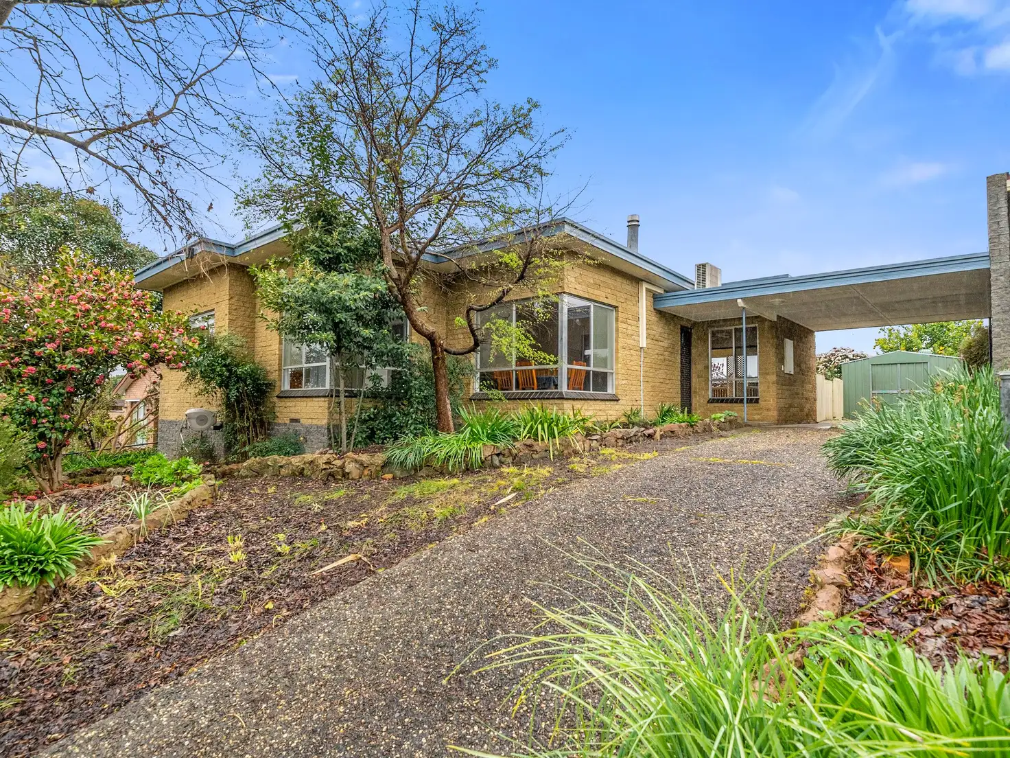 Main view of Homely house listing, 13 Jamieson Street, Myrtleford VIC 3737