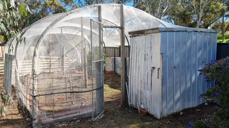 Seventh view of Homely house listing, 19 Gordon Street, Kojonup WA 6395