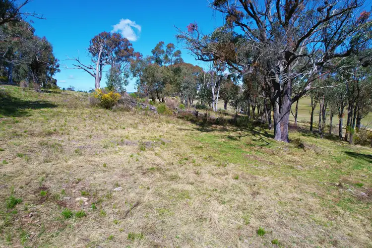 Sixth view of Homely land listing, 155 Long Street, Goulburn NSW 2580
