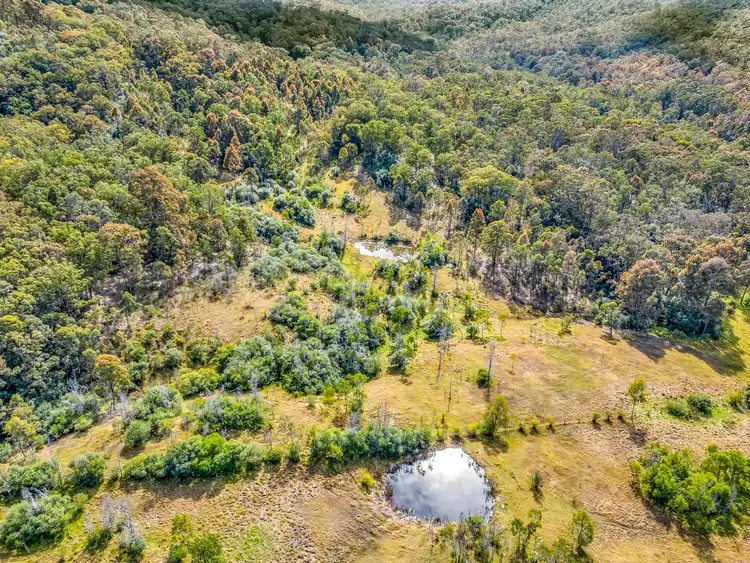 Third view of Homely rural property listing, Off Moore's Lane, Elderslie NSW 2335
