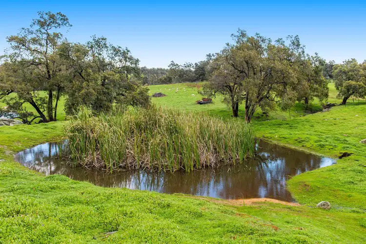 Third view of Homely house listing, 38 Shady Hills View, Bullsbrook WA 6084