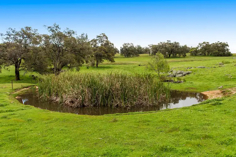 Fourth view of Homely house listing, 38 Shady Hills View, Bullsbrook WA 6084