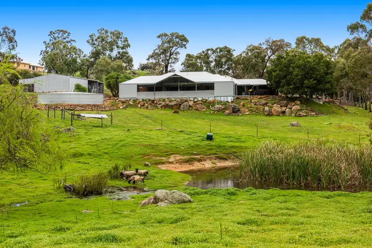 Fifth view of Homely house listing, 38 Shady Hills View, Bullsbrook WA 6084