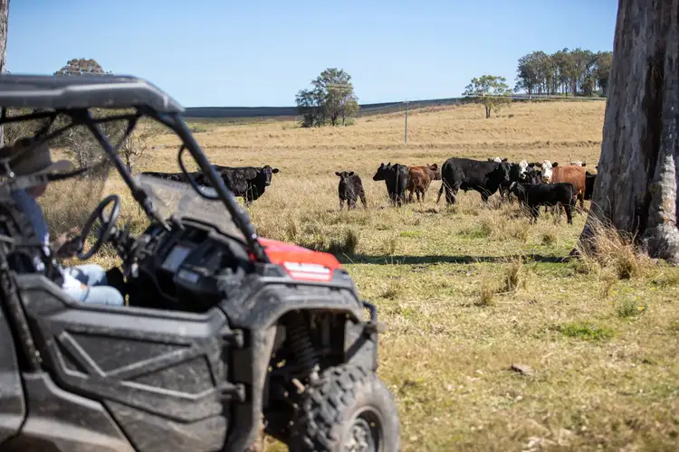 Fifth view of Homely rural property listing, 970 Tabulam Road, Tabulam NSW 2469