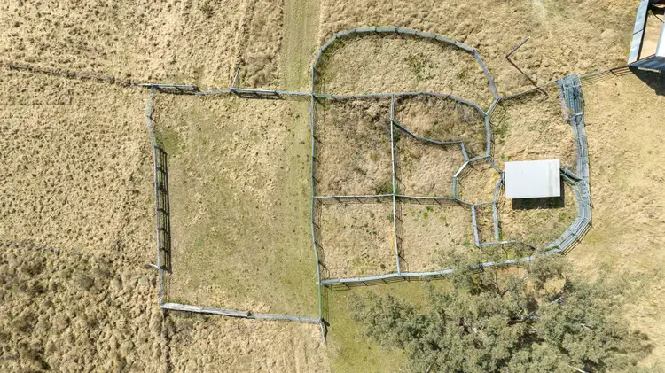 Seventh view of Homely rural property listing, Glen Hazel Road Bundarra, Inverell NSW 2360