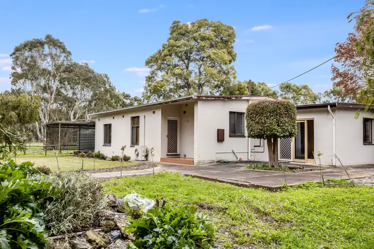 19590 Riddoch Highway, Dismal Swamp SA 5291