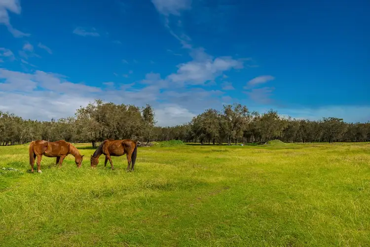 Third view of Homely house listing, 3041 Great Northern Highway, Bullsbrook WA 6084