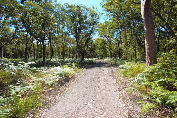 Main view of Homely rural property listing, Lot 5/129 Koree Street, Pindimar NSW 2324