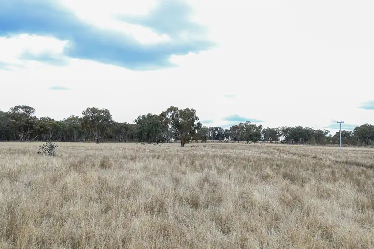 Fifth view of Homely rural property listing, 529 Grove Road, Inverell NSW 2360